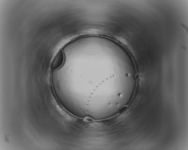 X0000103441421200809191714