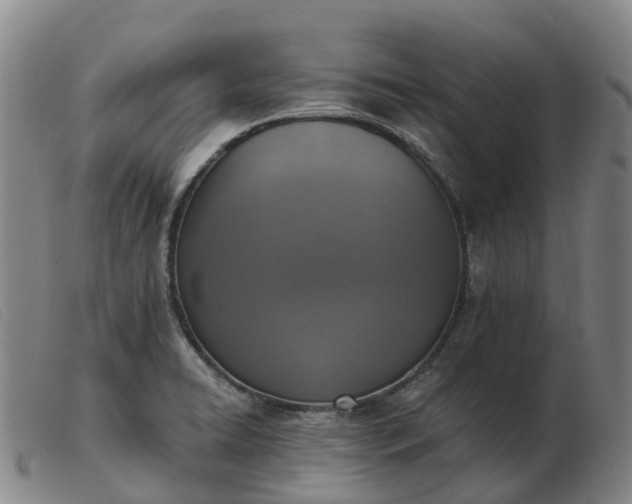 X0000103441422200809191714