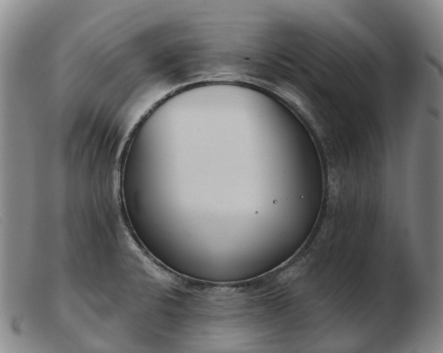 X0000103441424200809191714