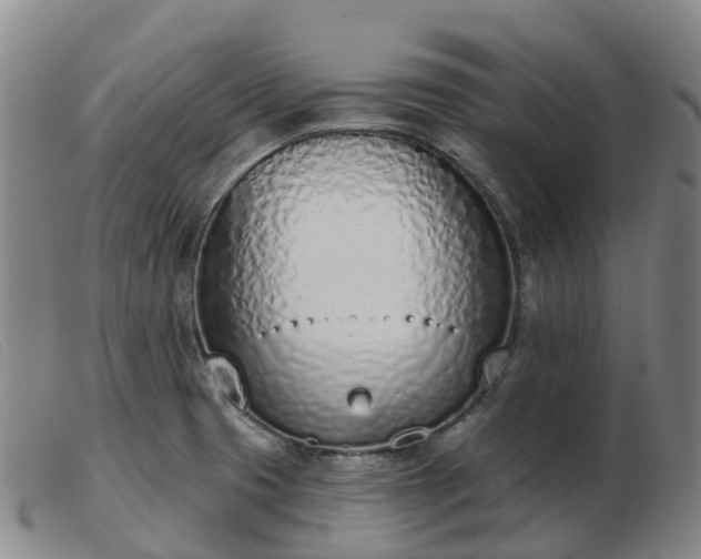 X0000103441425200809191714