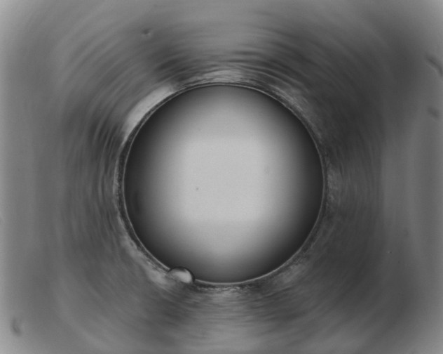 X0000103441426200809191714