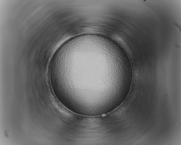 X0000103441427200809191714