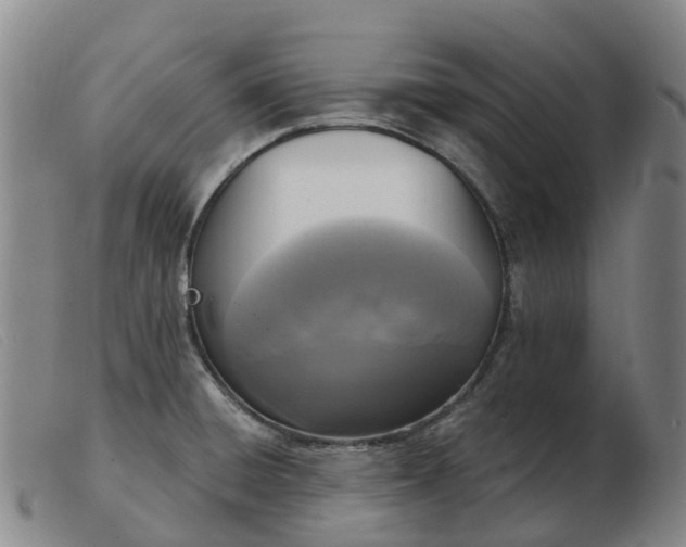 X0000103441428200809191714