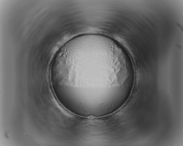 X0000103441429200809191714