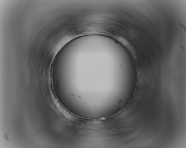 X0000103441431200809191714