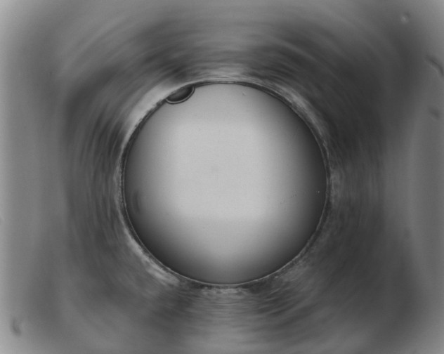 X0000103441432200809191714