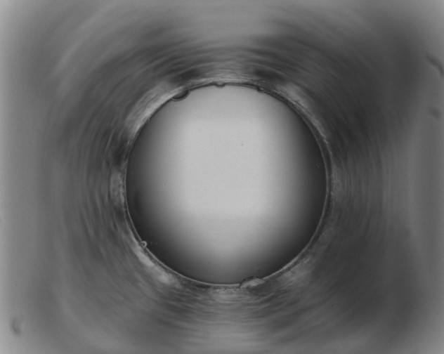 X0000103441433200809191714