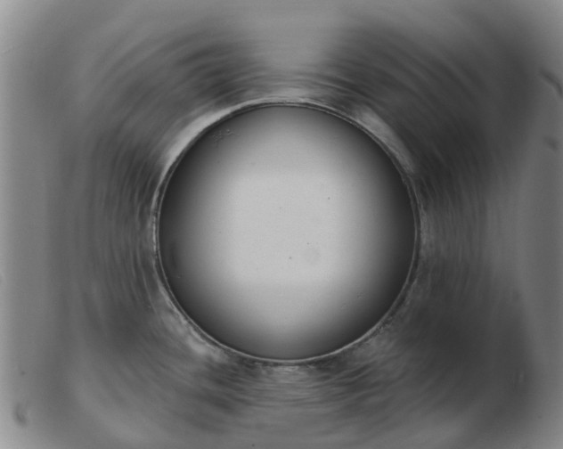 X0000103441436200809191714