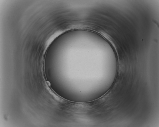 X0000103441437200809191714