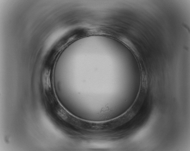 X0000103441439200809191714