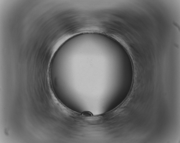 X0000103441440200809191714