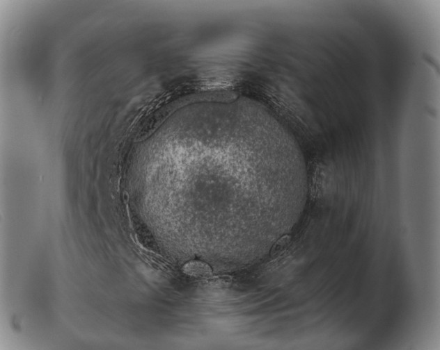 X0000103441441200809191713