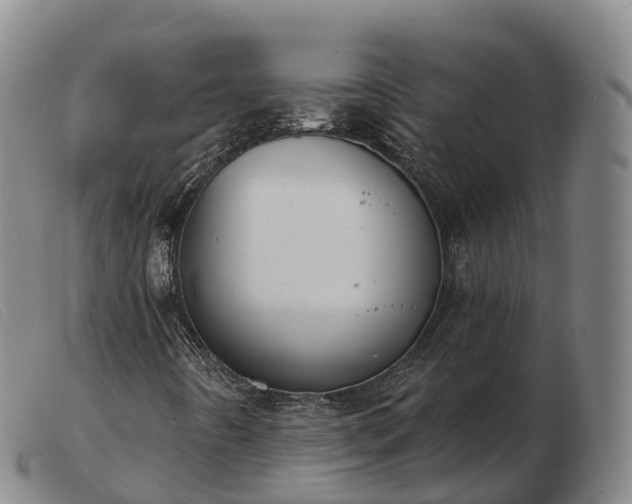 X0000103441442200809191713