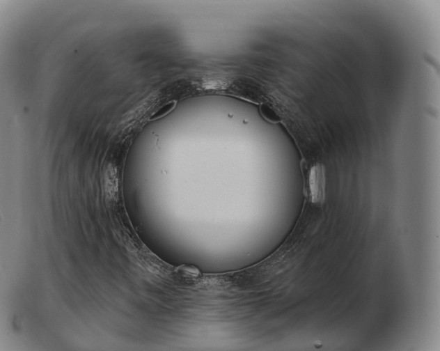 X0000103441443200809191713