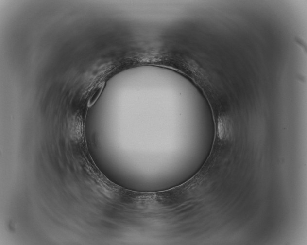 X0000103441444200809191713