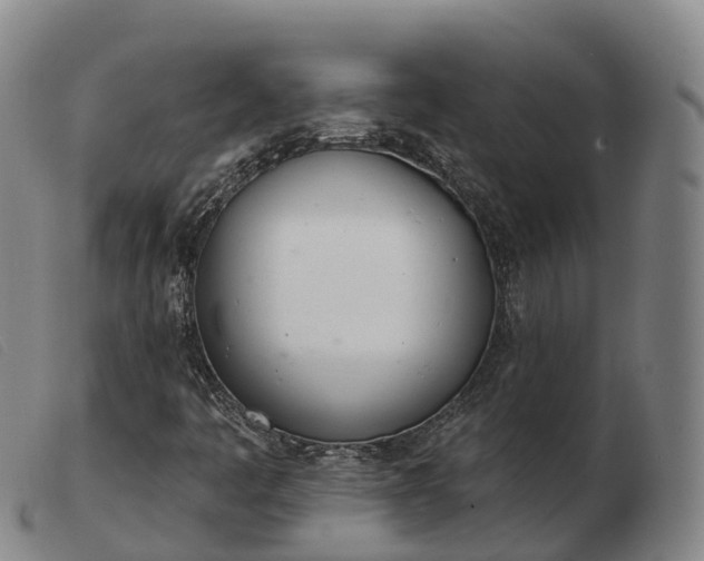 X0000103441445200809191713