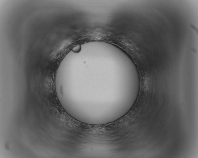 X0000103441446200809191713