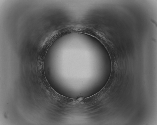X0000103441447200809191713