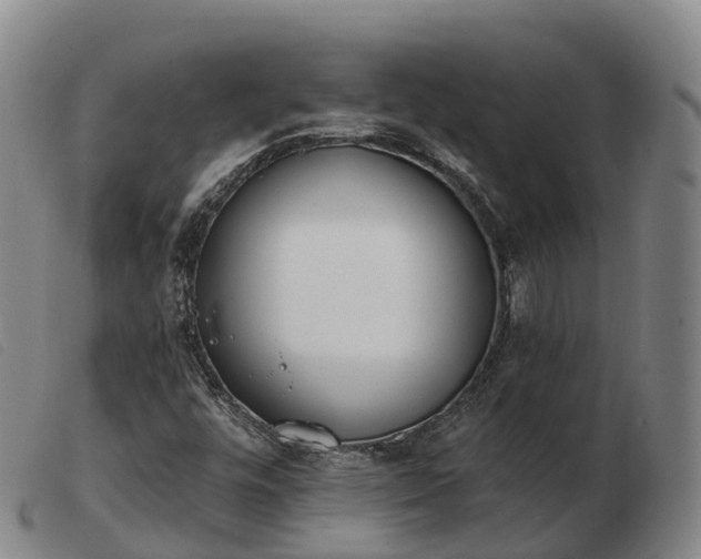 X0000103441448200809191713