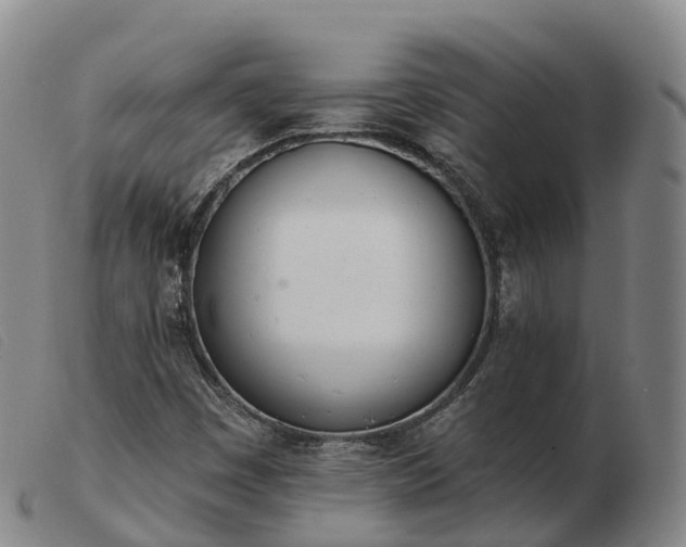 X0000103441449200809191713