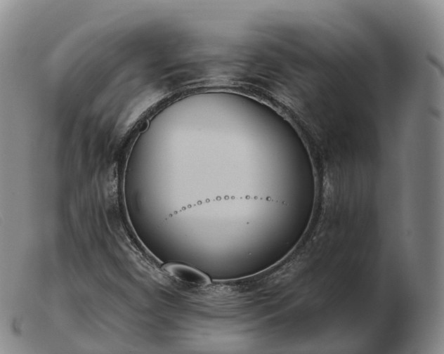 X0000103441450200809191713