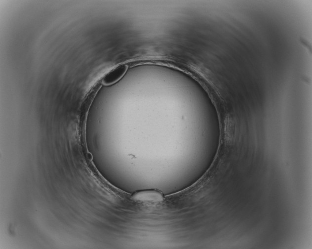 X0000103441452200809191713