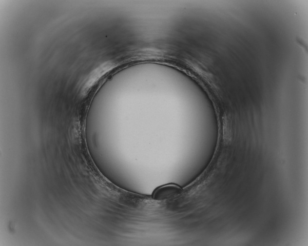 X0000103441453200809191713