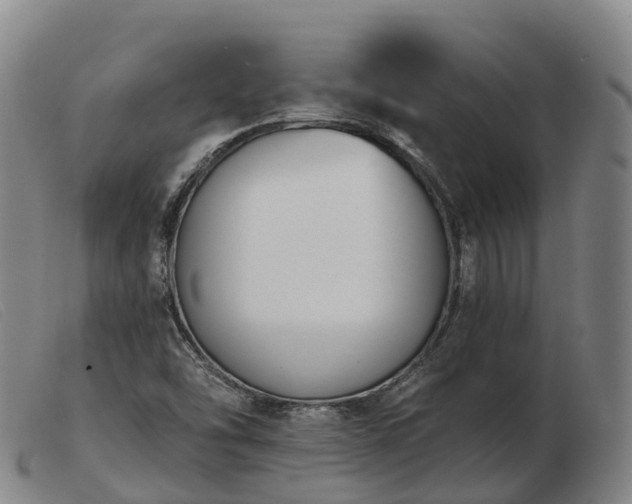 X0000103441454200809191713