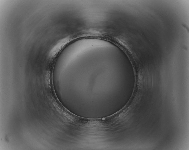 X0000103441455200809191713