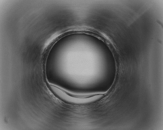 X0000103441456200809191713