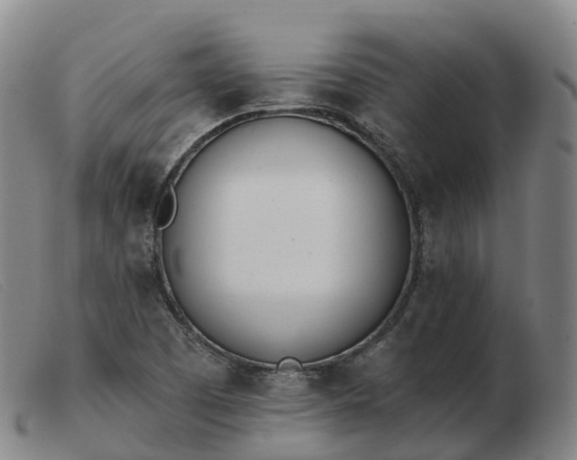 X0000103441457200809191713