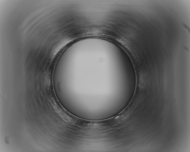X0000103441458200809191713