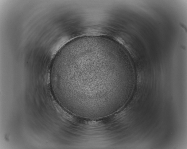 X0000103441459200809191713