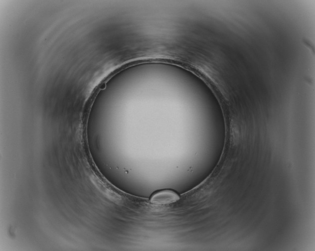 X0000103441460200809191713