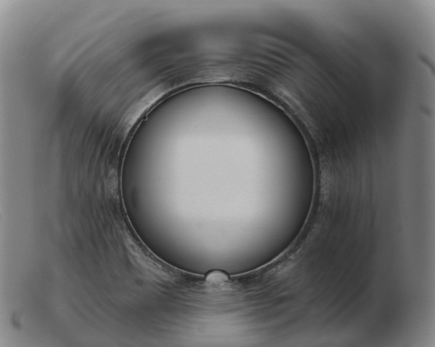 X0000103441465200809191713