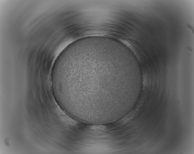 X0000103441466200809191713