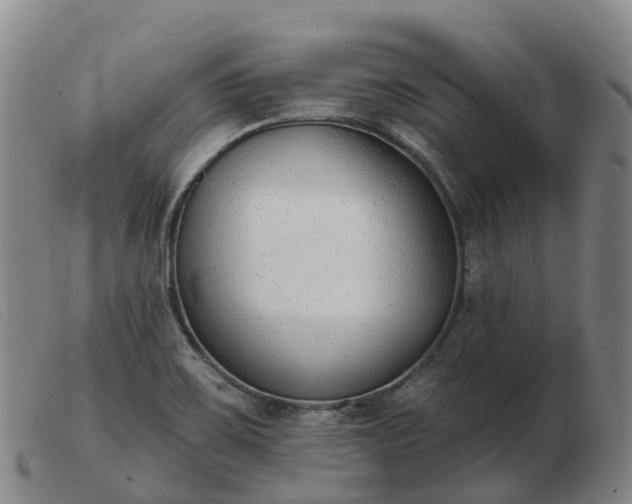 X0000103441467200809191713