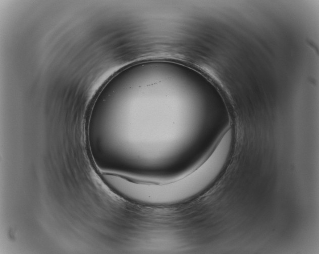 X0000103441468200809191713
