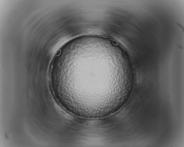 X0000103441471200809191713