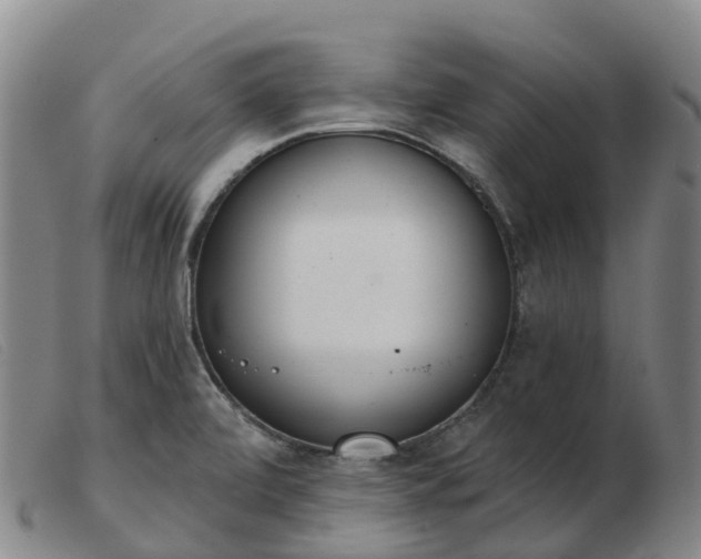 X0000103441472200809191713