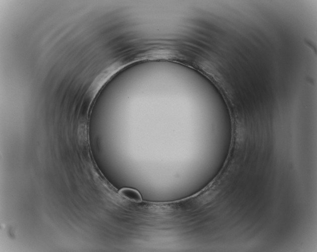 X0000103441473200809191713