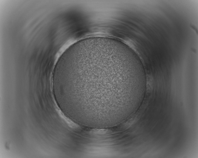 X0000103441474200809191713