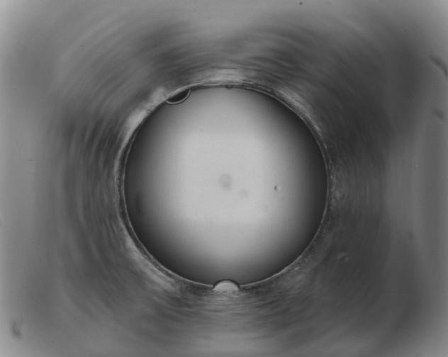 X0000103441475200809191713