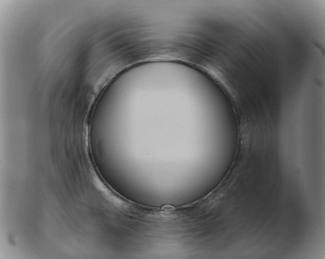 X0000103441476200809191713