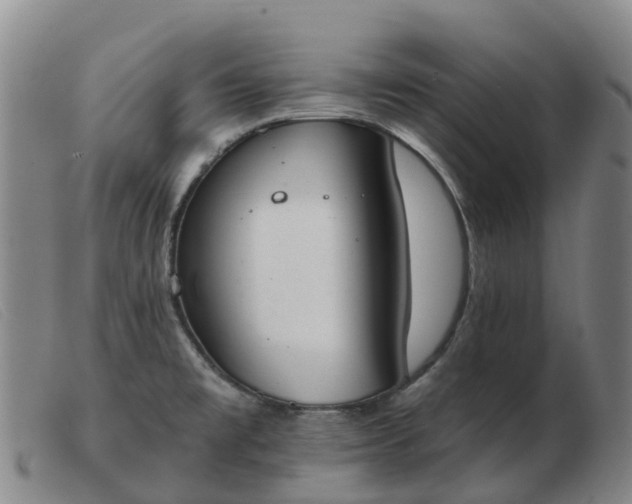 X0000103441477200809191713