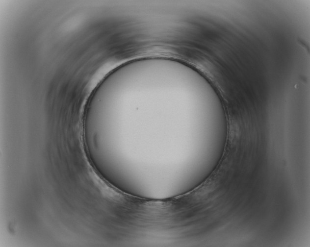 X0000103441478200809191713