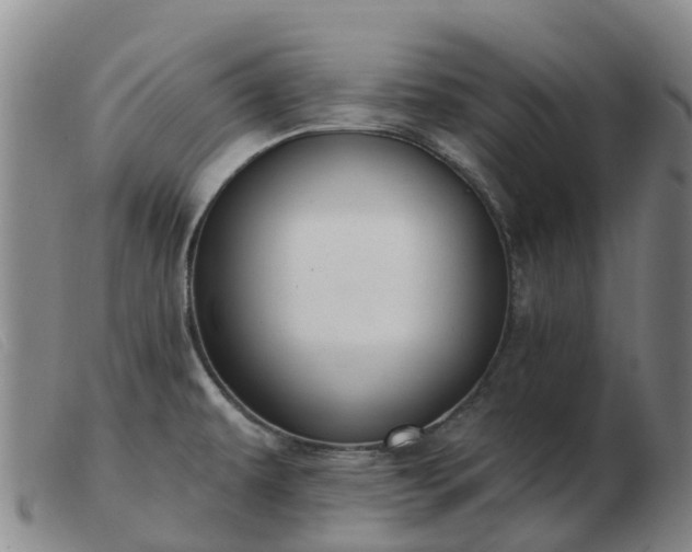 X0000103441479200809191713