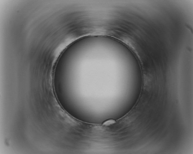 X0000103441480200809191713