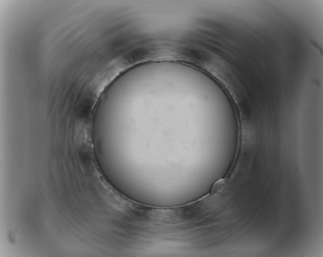 X0000103441481200809191713