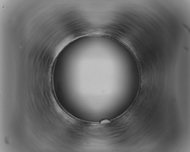 X0000103441483200809191713